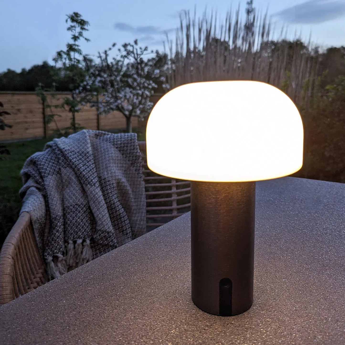 Portable LED Lamp